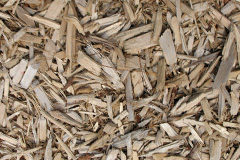 biomass boilers Drumsturdy